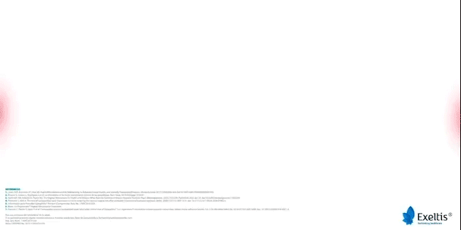Banner móvil