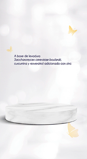 Banner escritorio