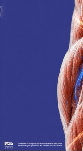 Banner escritorio