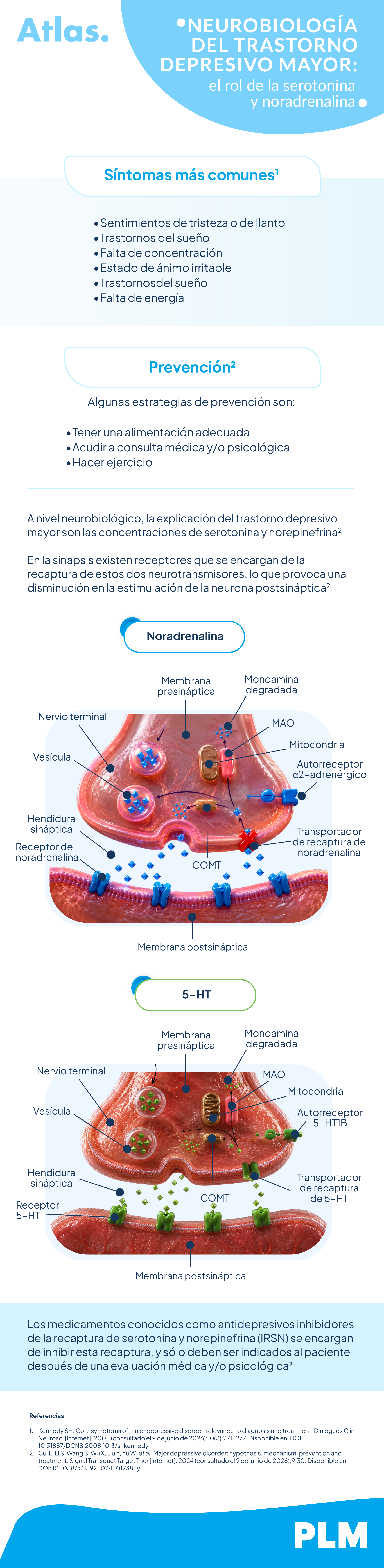 Neurobiología del trastorno depresivo mayor: el rol de la serotonina y noradrenalina