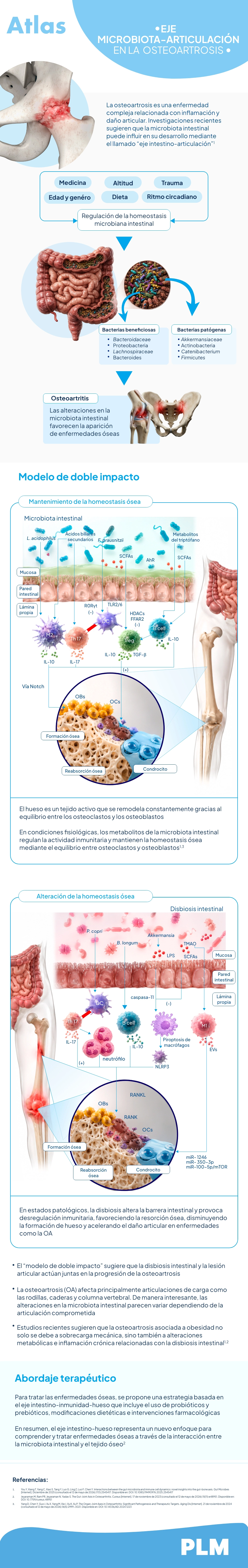 Eje microbiota-articulación en la osteoartrosis