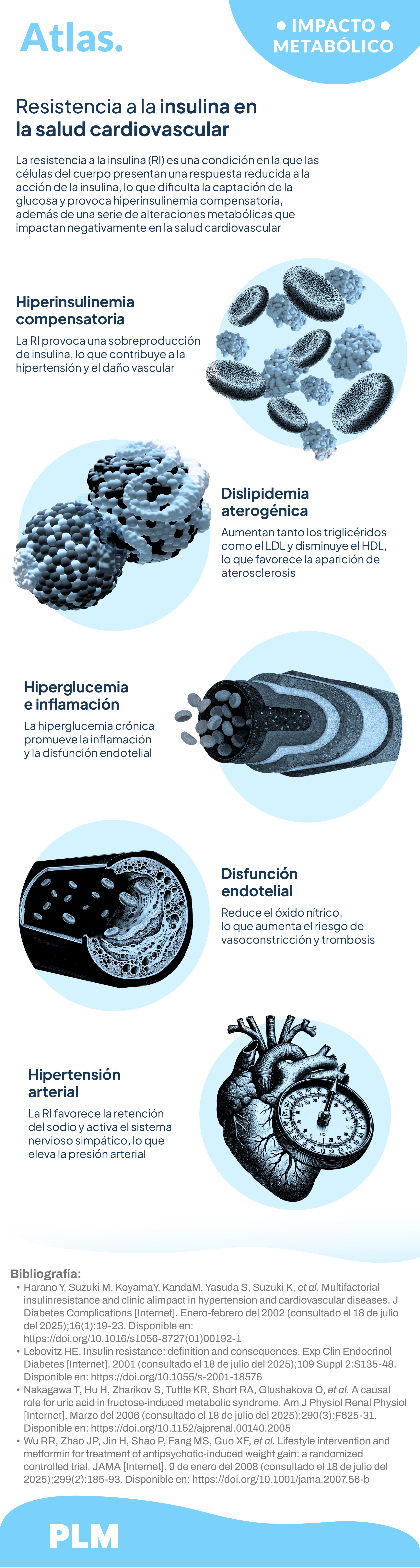 Impacto metabólico de la resistencia a la insulina en la salud cardiovascular