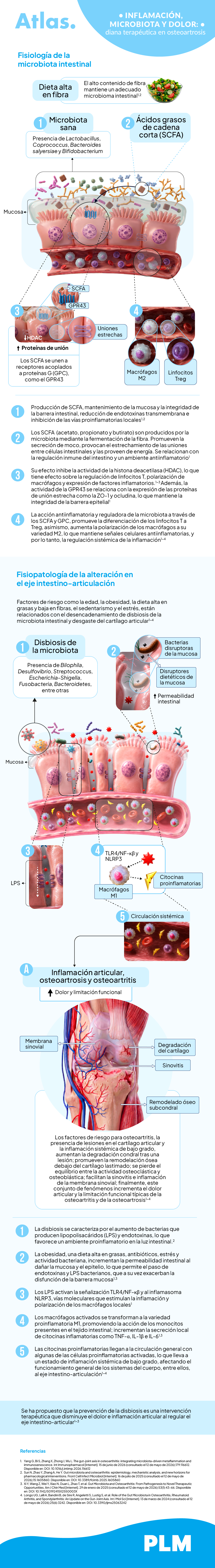 Inflamación, microbiota y dolor: diana terapeutica en osteoartrosis