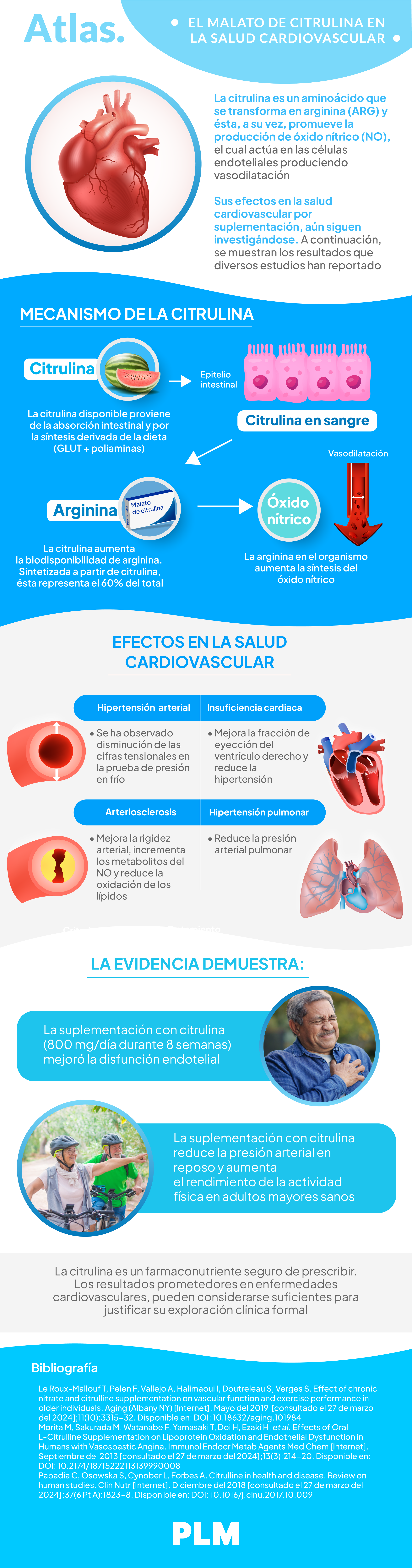 El malato de citrulina en la salud cardiovascular