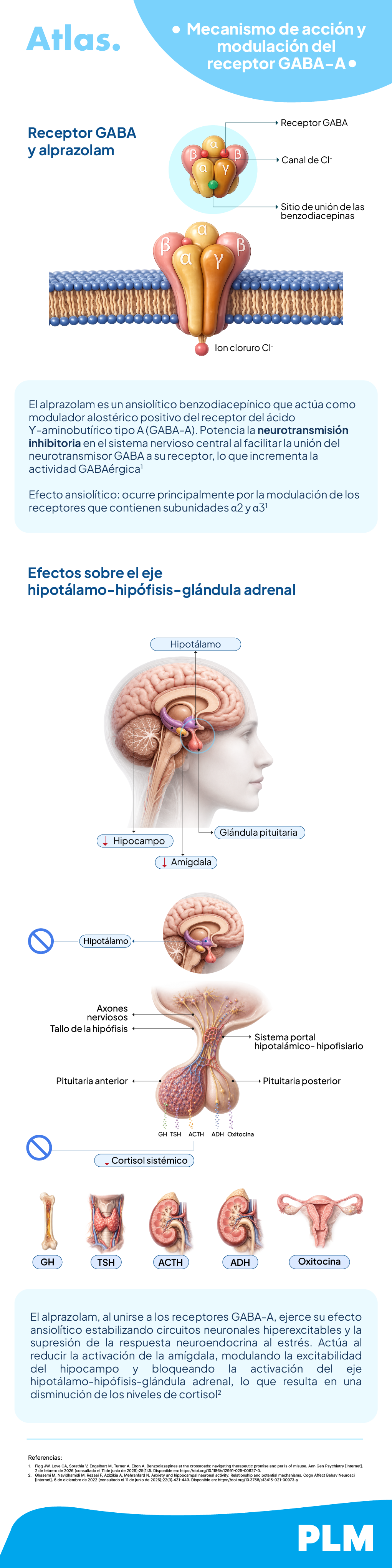 Mecanismo de acción y modulación del receptor GABA-A