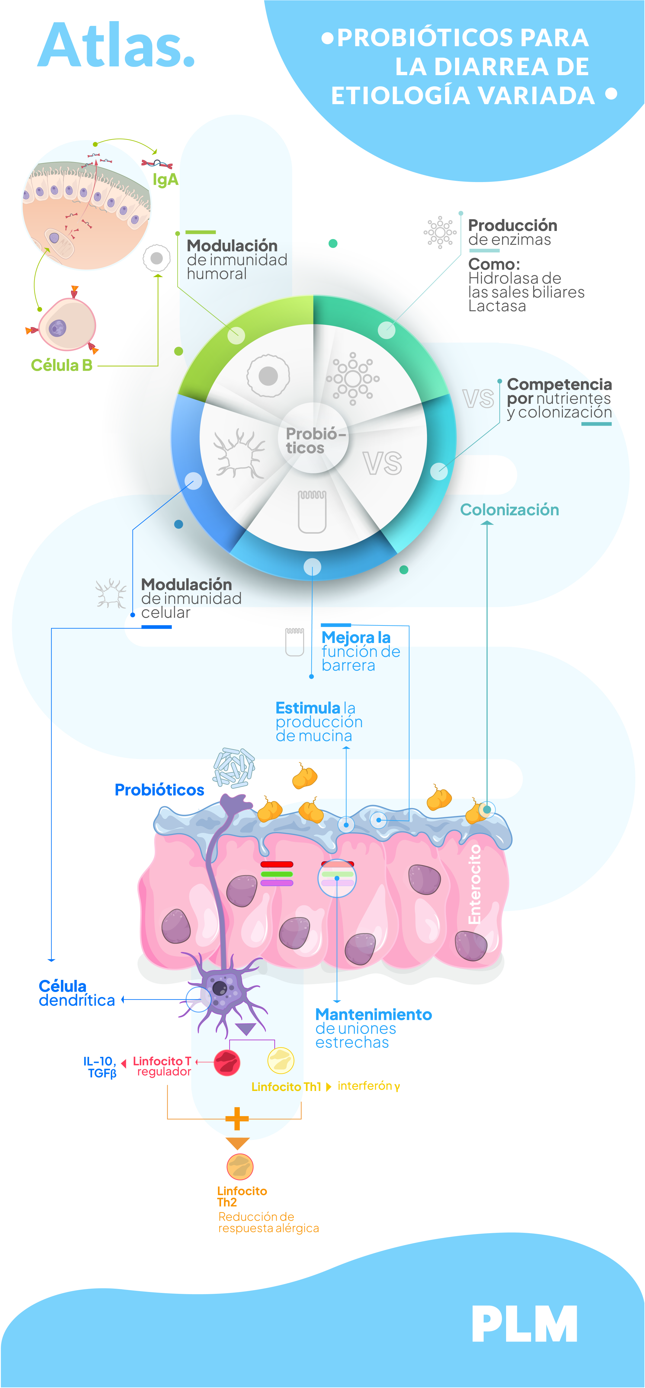 Probióticos para la diarrea de etiología variada