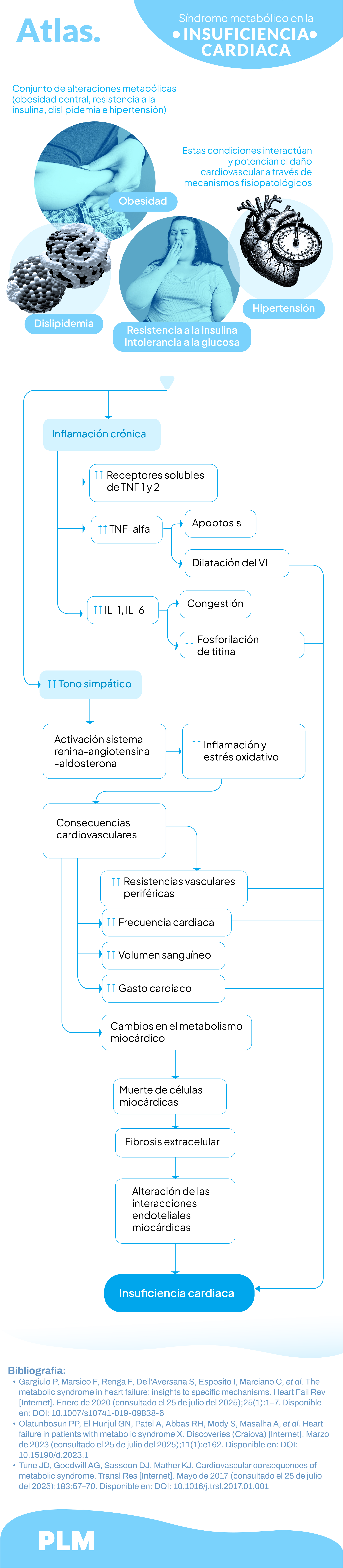Síndrome metabólico en la insuficiencia cardiaca