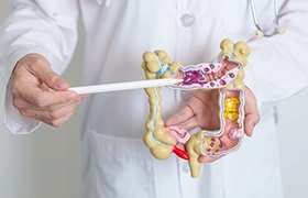 Clasificación de Forrest