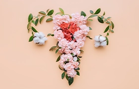 Índice de salud vaginal