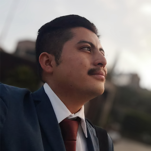 CEO Profile